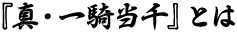  『真・一騎当千』とは