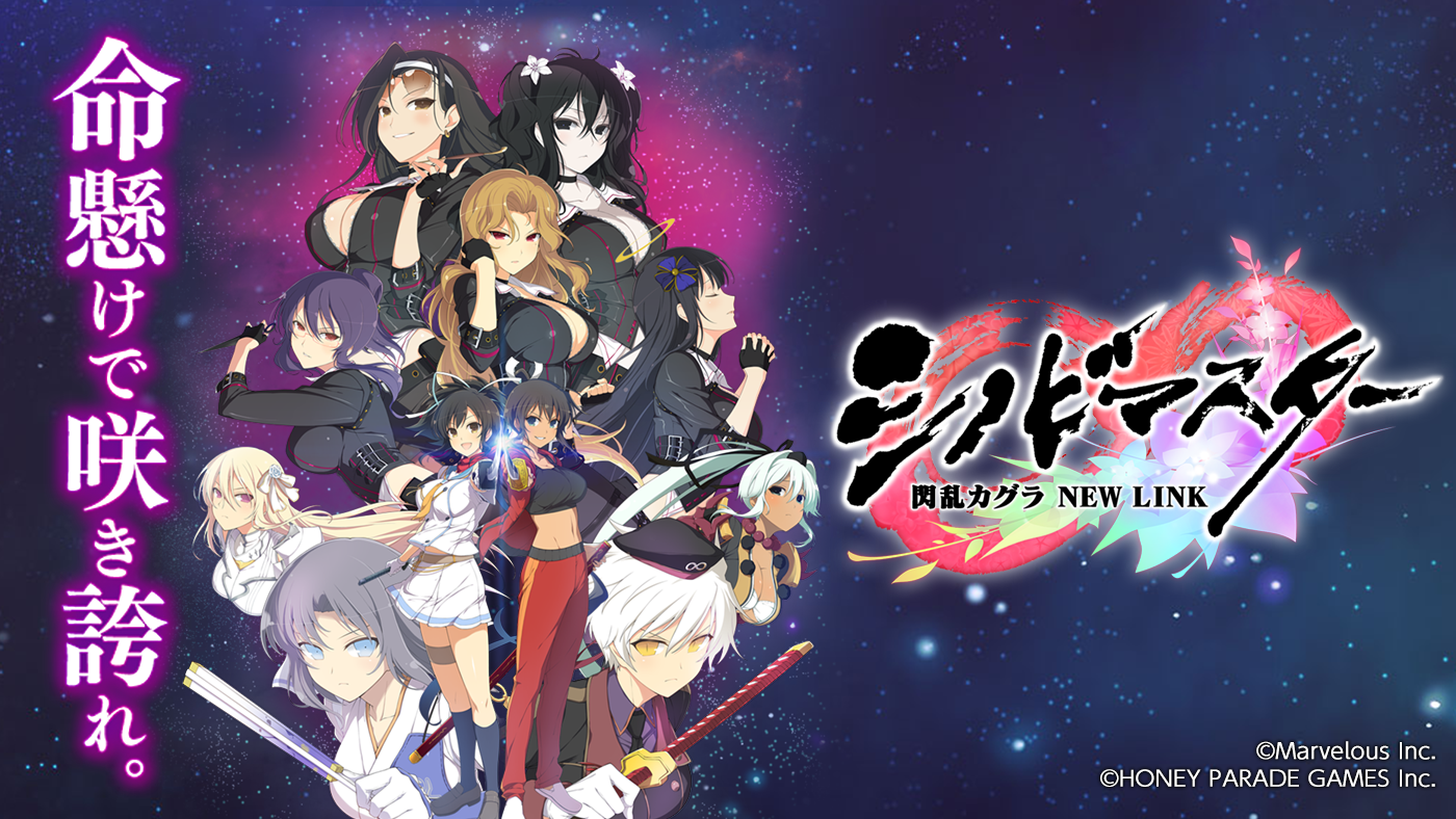 閃乱カグラ TEN シノビマスター 公式画集 詳しく ビジュアル